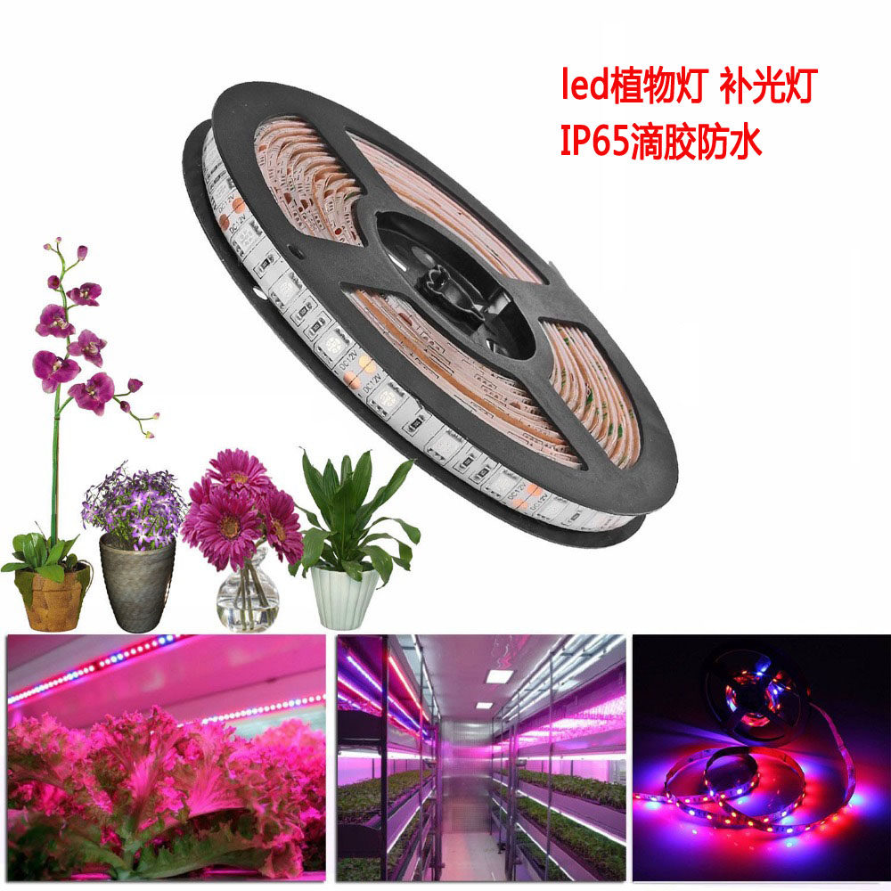 全光谱大棚蔬菜育苗水草月季花卉室内植物补光灯12V5050led灯带