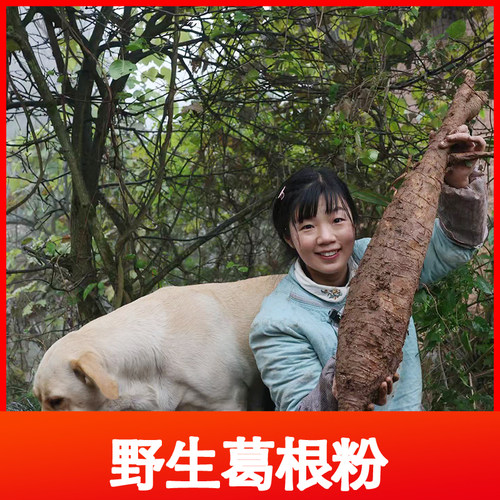 重庆石柱特产野生葛根粉