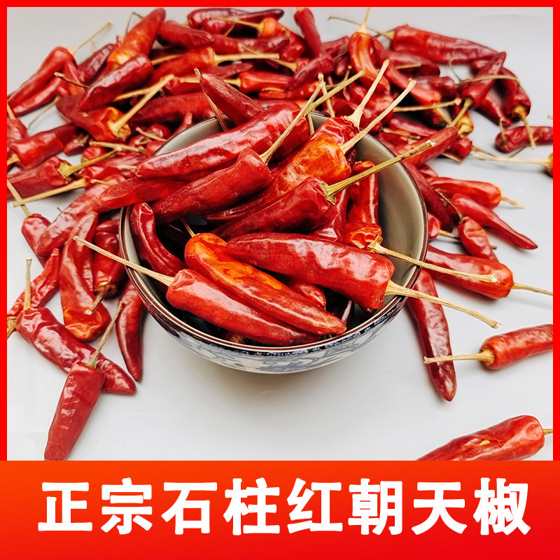 重庆石柱红干辣椒1号3号朝天红火锅辣椒海椒香辣红朝天椒特产5斤