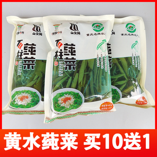 重庆石柱特产黄水莼菜蔬菜新鲜纯菜马蹄菜400克凉拌食用产地直销