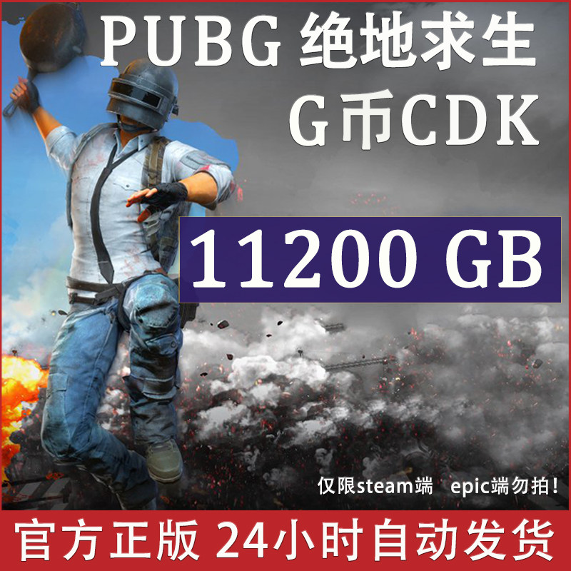 pubgg币绝地求生 11200 G币 充值吃鸡金币激活码CDK箱子套装皮肤