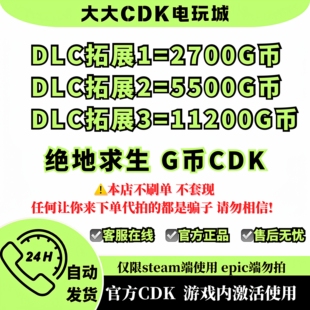 PUBGG币绝地求生 11200 G币 充值吃鸡金币激活码CDK箱子套装皮肤