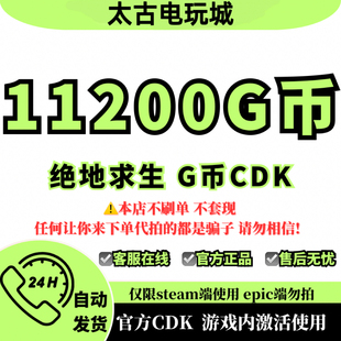 pubgg币绝地求生 11200 G币 充值吃鸡金币激活码CDK箱子套装皮肤