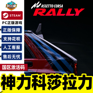 Steam 神力科莎 拉力 Assetto Corsa Rally 国区激活码CDKey PC中文正版游戏