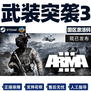 Steam ARMA3 武装突袭3 激活码CDKEY 国区/全球 定端版/DLC Arma 3 Jets DLC PC正版游戏