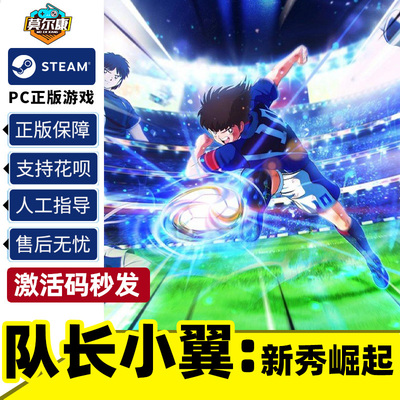 pc中文steam正版队长新秀崛起