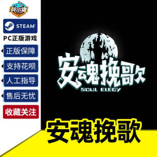 国区cdkey激活码 steam游戏PC正版 ElegySoulGame 安魂挽歌 中文