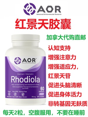 红景天胶囊AOR加拿大代购直邮Rhodiola头脑清晰 身体活力 注意力
