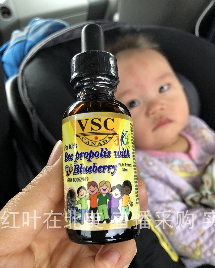 VSC儿童无酒精蜂胶滴剂蓝莓味加拿大代购直邮蜜蜂Bee Propolis