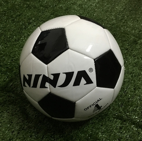 Ballon de foot - Ref 7384 Image 1