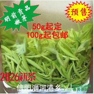 上市绿茶信阳毛尖 2026新茶叶 头采明前高山嫩芽 老旱茶 自产自销 - 封面