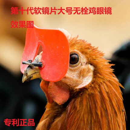 鸡眼镜鸡眼罩笼养蛋鸡山鸡防啄毛啄肛啄蛋无栓软镜片卡式防挂网