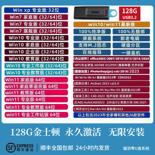 系统u盘金士顿电脑重装一键安装机win10专业w7旗舰w11纯净pe启动