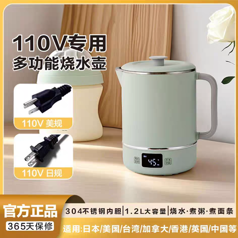 110v电热水壶小型恒温烧水壶煮粥炖汤小炖锅日本台湾加拿大香港用