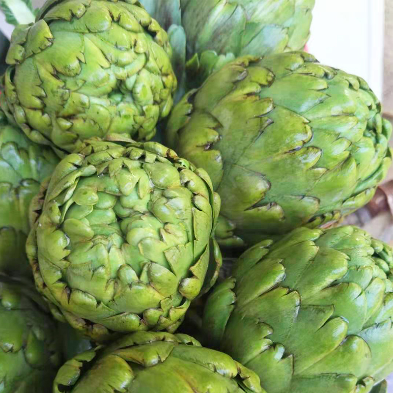 新鲜朝鲜蓟洋蓟蔬菜2斤包邮现季蔬菜法国百合网红蔬菜云南高原