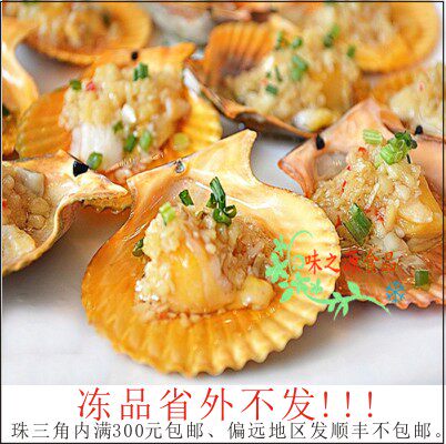 味之源食品热销黄金贝半壳鲜活速冻其它水产 可烧烤蒜蓉蒸等