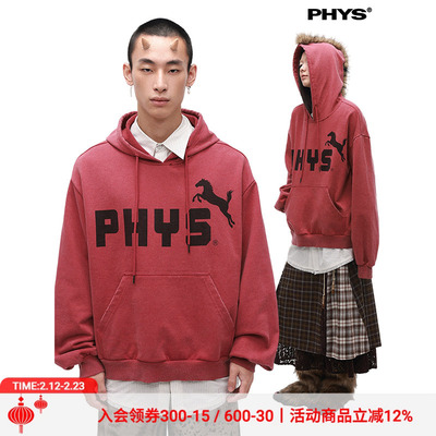 物理少年马年水洗莫西干卫衣