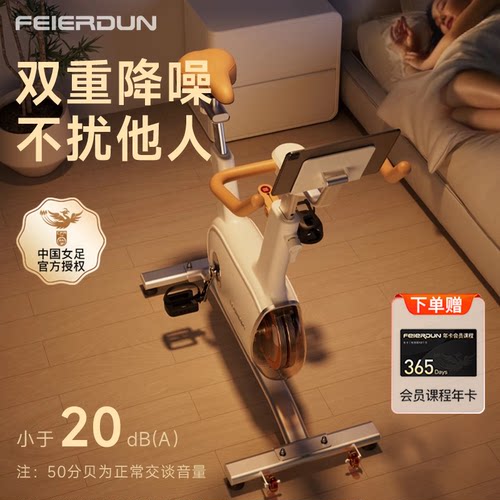 飞尔顿静音动感单车双飞轮双磁阻
