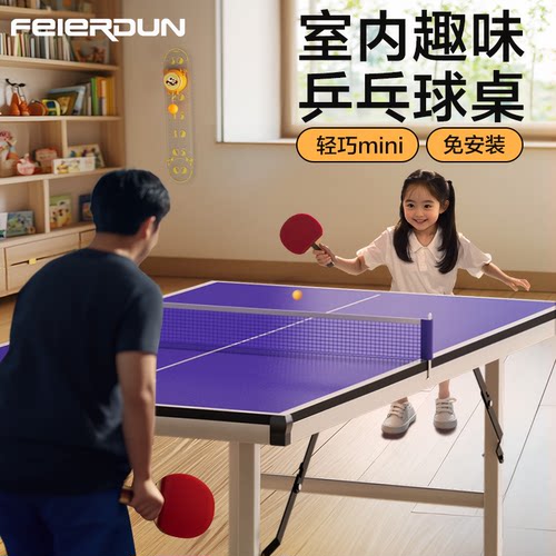 飞尔顿乒乓球台小巧迷你