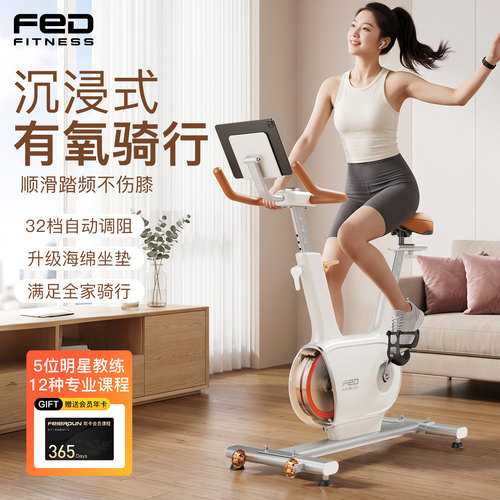 飞尔顿双飞轮mini静音动感单车
