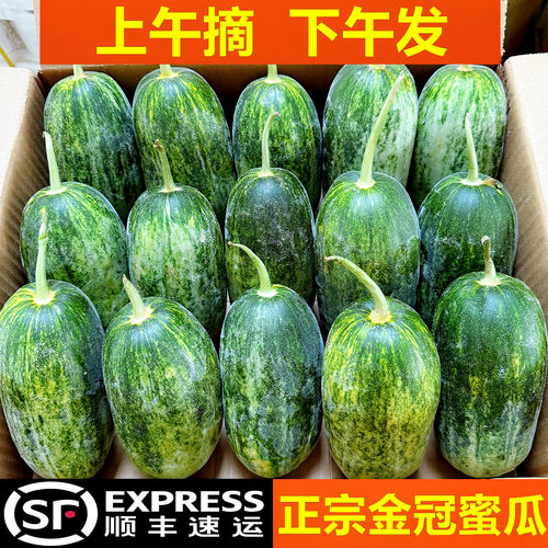 正宗星甜金冠皇后！巨甜！顺丰！
