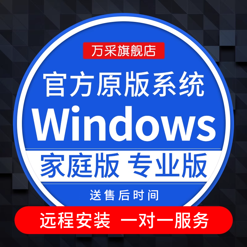 原版windows10系统重装专业版 win11纯净版电脑远程安装更新升级