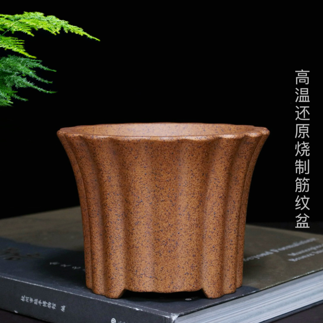 特价精品紫砂花盆小兰花多肉菖蒲金弹子专用盆景盆桌面绿植陶瓷盆