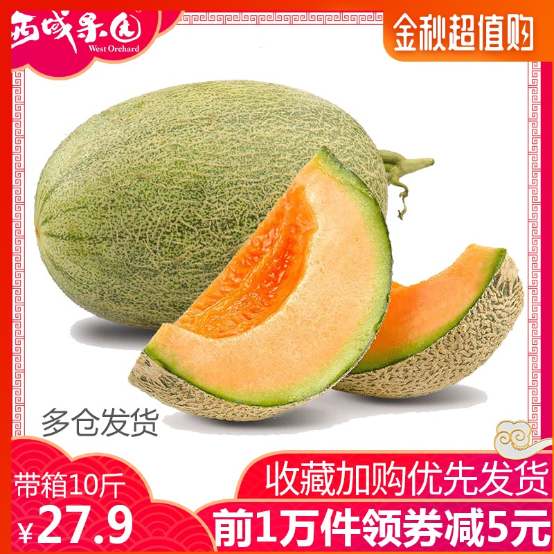 新疆哈密瓜新鲜一箱10斤左右甜瓜11-29新券