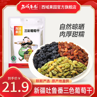 包邮 新疆生态西域果园吐鲁番三种彩色葡萄干提子干独立包装 300g