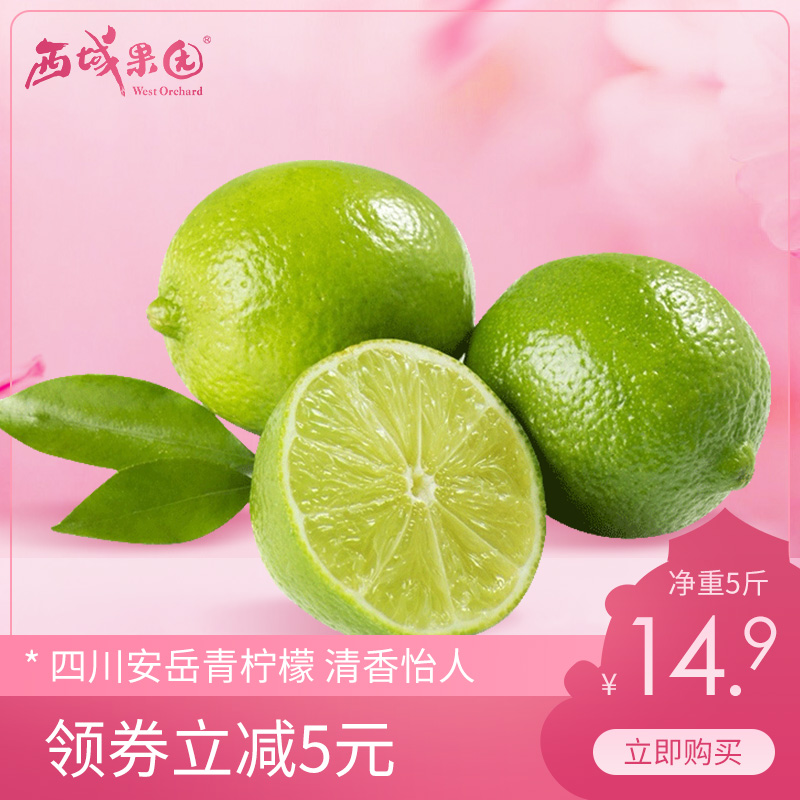 安岳柠檬5斤新鲜水果当季整箱包邮四川现摘皮薄多汁香水青柠檬