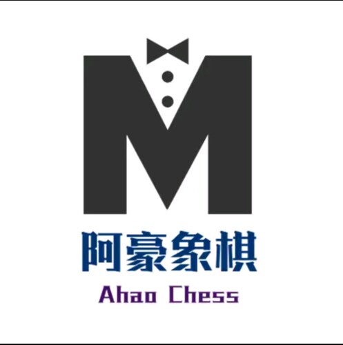 阿豪象棋教学 棋理新编 直升业八 13套全部打包