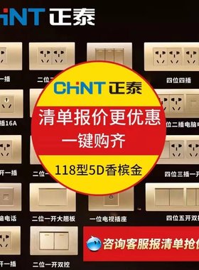 正泰118型5D金色带钢架开关插座