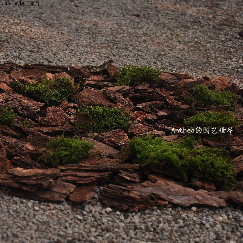 干树皮树叶婚礼地面铺设t台舞台地面布置拍摄道具庭院松树皮锯末