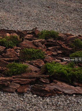 干树皮树叶婚礼地面铺设T台舞台地面布置拍摄道具庭院松树皮锯末