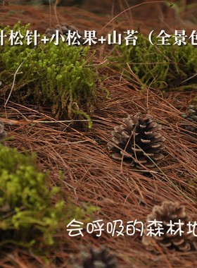 秋冬落叶落叶标本枯叶标本真树叶橱窗布景舞台落叶婚礼落叶真树叶