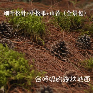 秋冬落叶落叶标本枯叶标本真树叶橱窗布景舞台落叶婚礼落叶真树叶