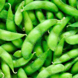 新鲜毛豆带壳南京农家自种现摘嫩毛豆角青毛豆本地毛豆露天蔬菜