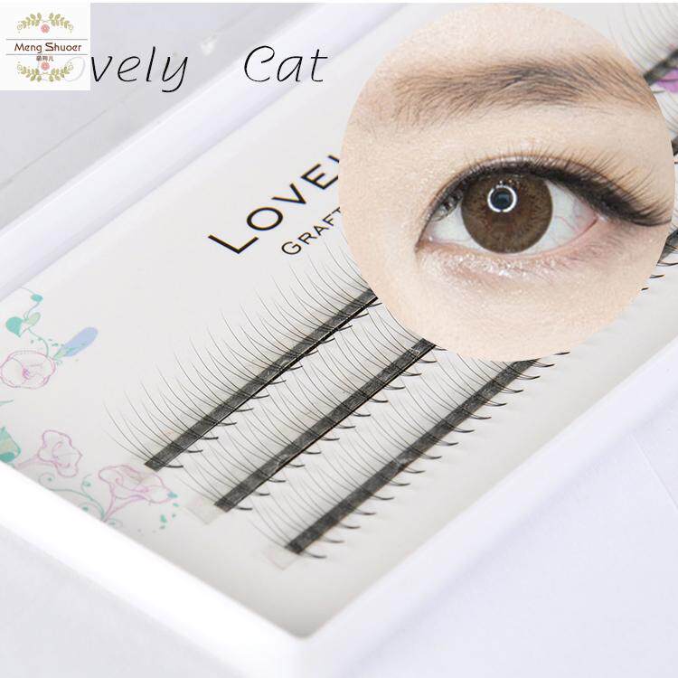 Natural bare makeup Camellia Bloom Roll up 3 Soft grafting plant False eyelashes Supernatural lifelikein the Makeup/Perfume/Beauty tools , False eyelashes  category - from Buy2taobao.com to provide professional Taobao agent buy service