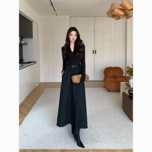 JIJINQI秋季长袖v领配腰带连衣裙拼接收腰显瘦休闲时尚百搭女长裙