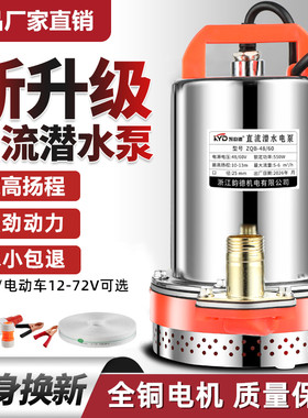 直流潜水泵48V60V72V电动车电瓶