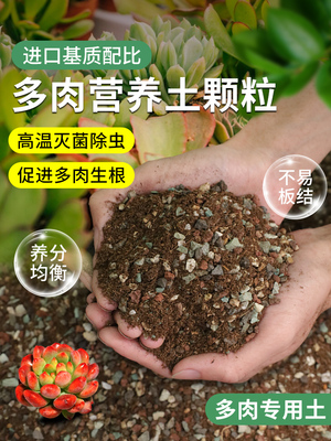 多肉颗粒土多肉专用营养土壤种植栽培泥炭铺面石植物纯颗粒花土