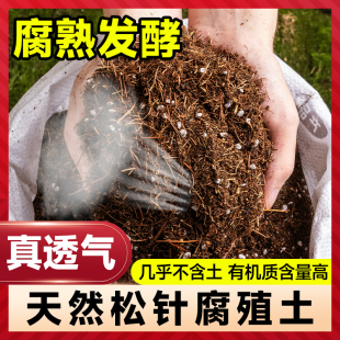 松针腐殖土天然腐叶腐熟纯君子兰花多肉泥炭营养土养花通用专用土