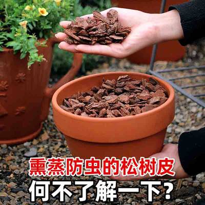 兰花多肉植物营养土发酵松树皮