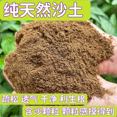 天然沙土沙壤土种菜养花盆栽花卉专用种植土细沙土沙土搭配营养土