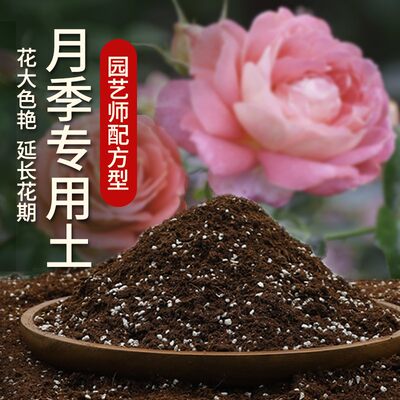 月季花专用土月季花专用营养土月季花土月季花营养土专用肥