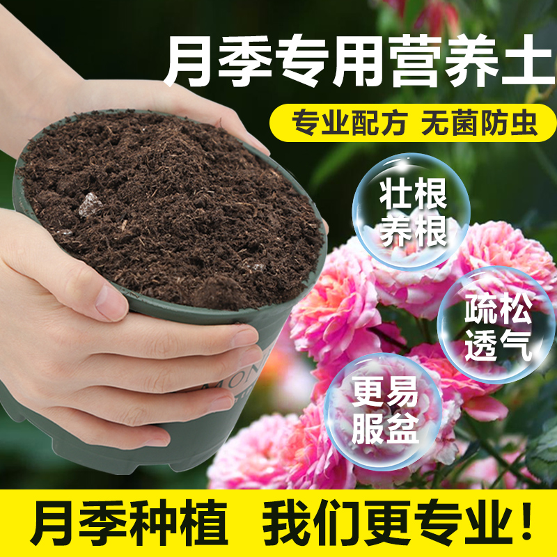 月季花专用土 家庭园艺营养土养花有机土 通用型绿萝多肉土盆栽土 鲜花速递/花卉仿真/绿植园艺 商务用花 原图主图