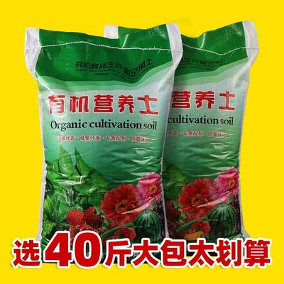 营养土花通用型大包袋种植
