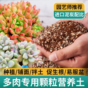 船长多肉专用营养颗粒土泥炭花土种植室内盆栽通用栽培土壤铺面石