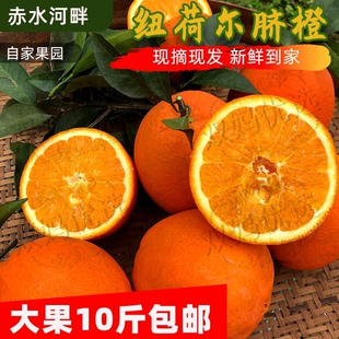 自家果园四川古蔺马蹄甜橙纽荷尔脐橙朋娜现摘现发10斤精品果送礼