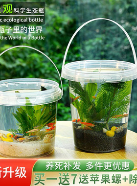 生态瓶DIY小鱼手提塑料微景观淡水冷水观赏鱼虾真水草活体学校